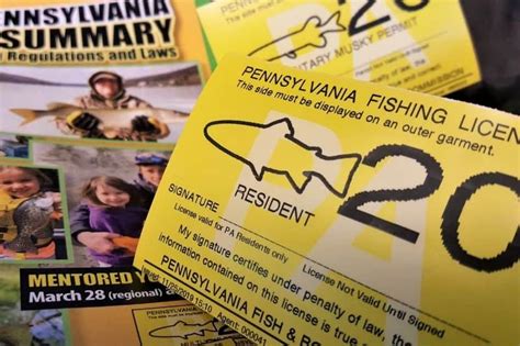 fishing license az walmart.